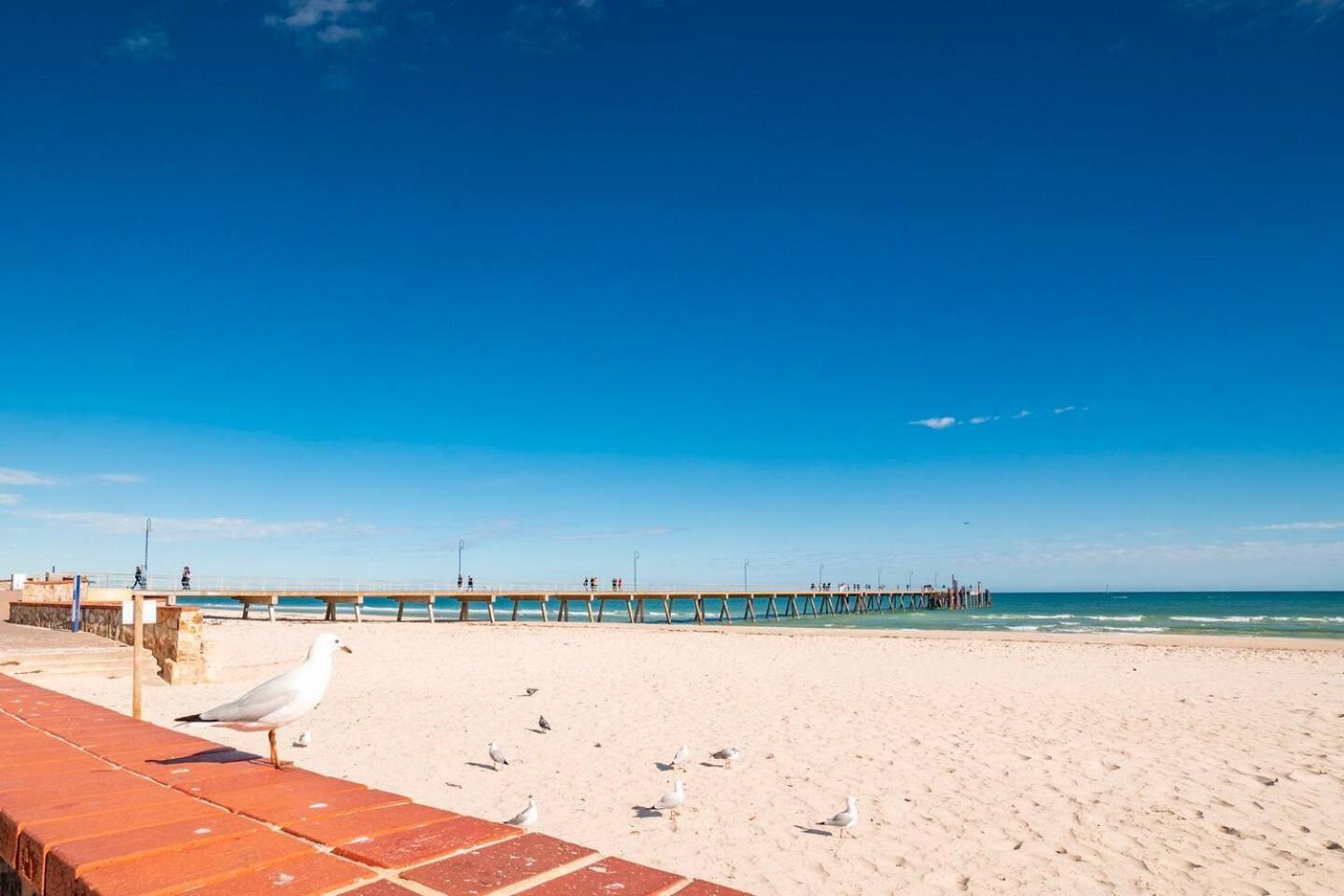 "Ocean Sunset" Glenelg Central Studios Экстерьер фото
